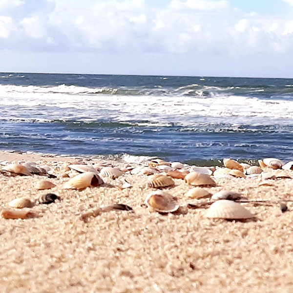 Strand Großenbrode